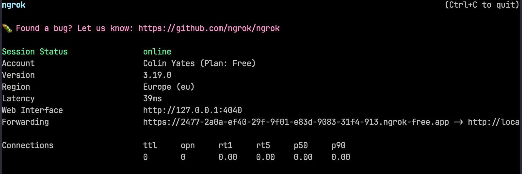 ngrok console dashboard